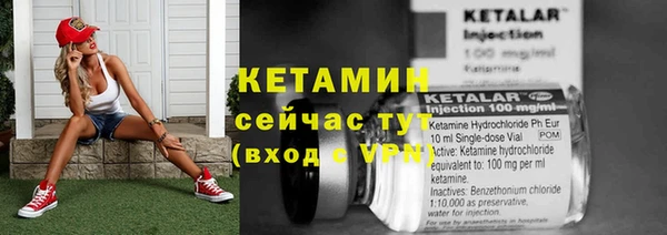 молекула духа Ладушкин