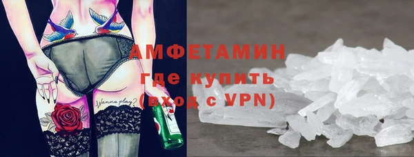 молекула духа Ладушкин