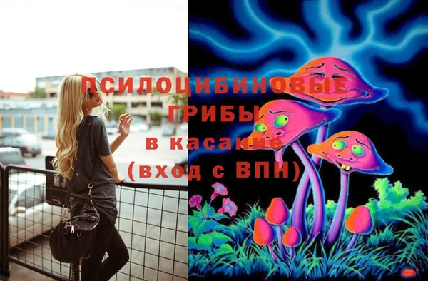 мескалин Лабытнанги