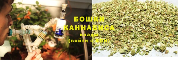 ПСИЛОЦИБИНОВЫЕ ГРИБЫ Лагань