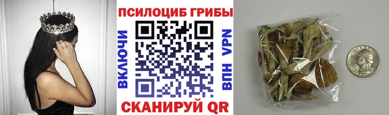 цены наркотик  блэк спрут как зайти  Псилоцибиновые грибы Psilocybe  даркнет наркотические препараты  Стрежевой 