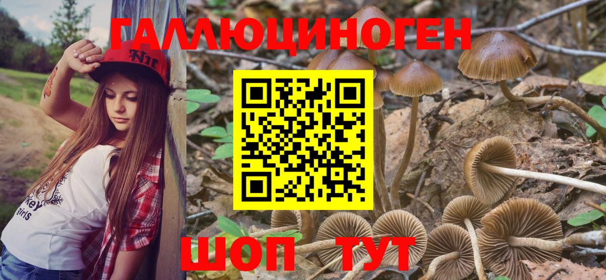 сколько стоит  Галлюциногенные грибы ЛСД  Вход с VPN  Стрежевой 
