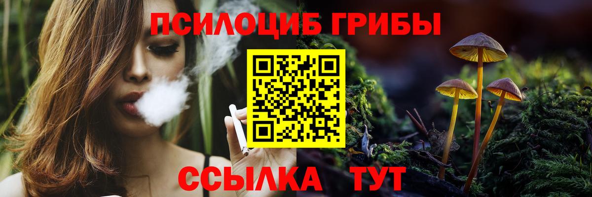 Псилоцибиновые грибы мицелий  Вход с VPN  Стрежевой 